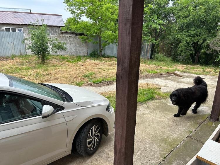 Casă cu 3 camere cu Teren 1000 Mp în Central