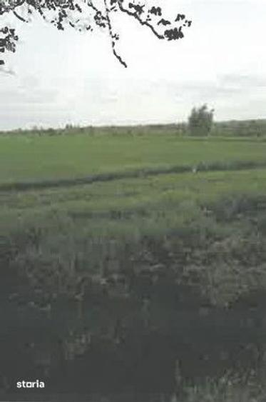 Teren de 1200 mp, în Ulmeni