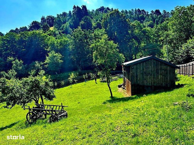 TEREN UNIC in Schei cu cabana - 3