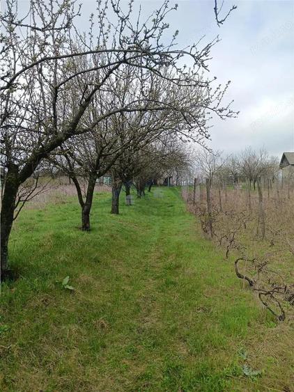 Aroneanu - Dorobant TEREN 46000mp PUZ realizat 59 de case la str principala cu toate utilitatile - 3