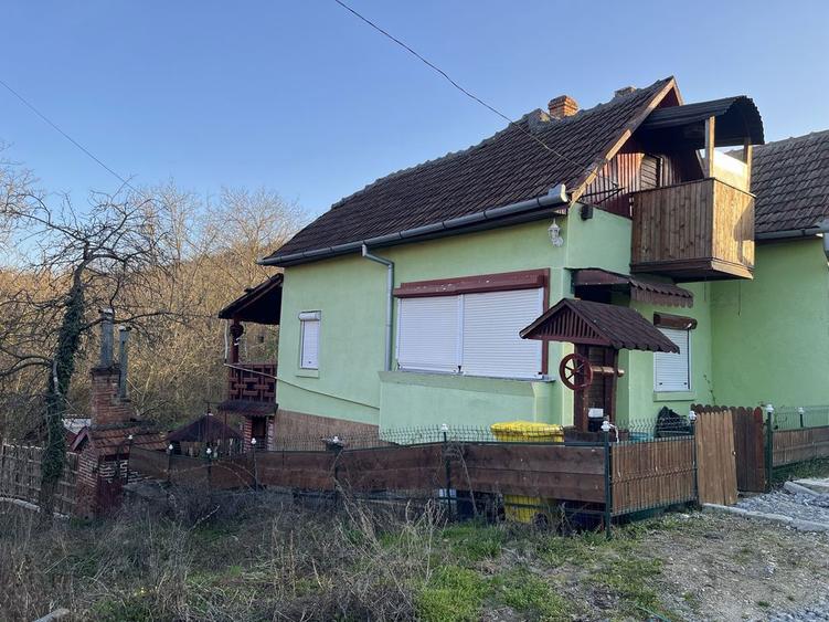 Casa de vanzare in dealul viilor Ineu - 8
