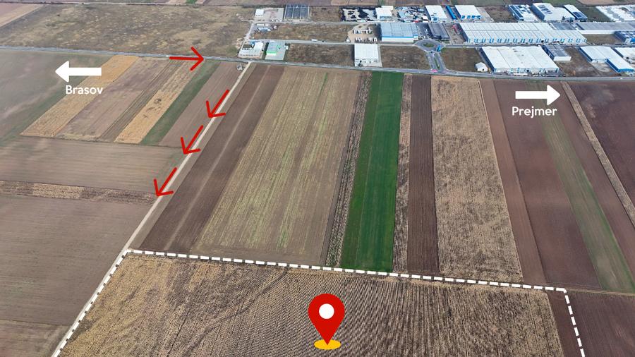 Teren 32,5 Ha compact Prejmer, Brasov. Imagini drona,tur/360 - 5