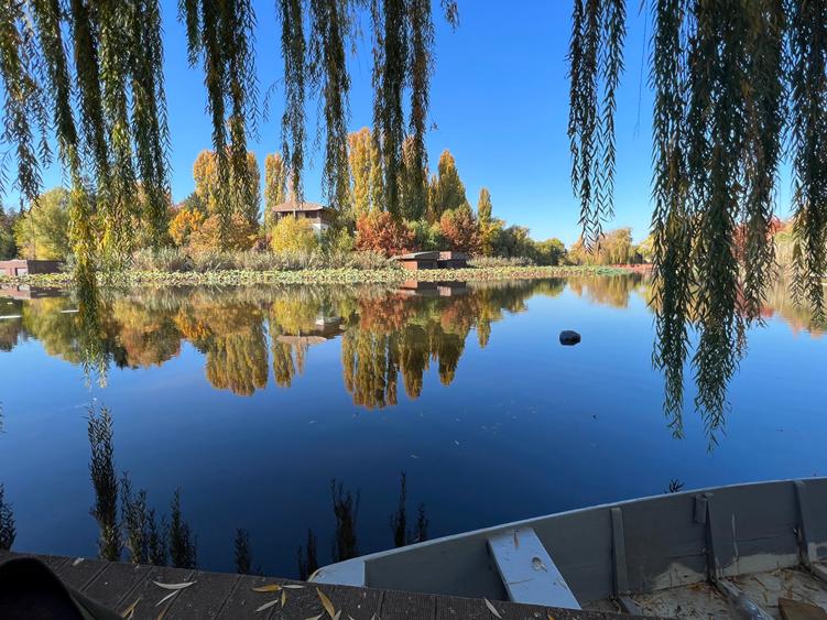 Snagov/Silistea Lac  Doar calitate / liniște. Doar pentru cine știe ce caută. - 5