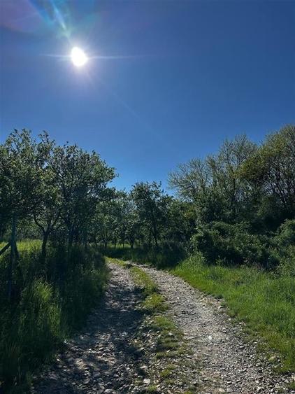 Reco Teren intravilan Beius - 3