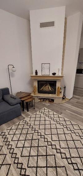 Casa singur curte langa parcul Herastrau - 9