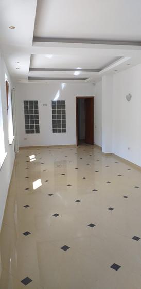 Imobil ideal investitie, resedinta, cabinete. Libera. - 6