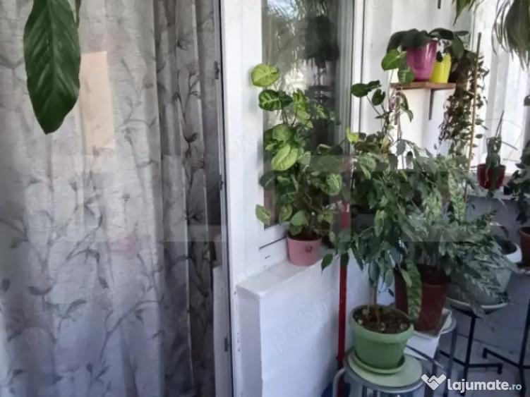 Apartament 2 camere, 47 mp, Calea Aradului - 1