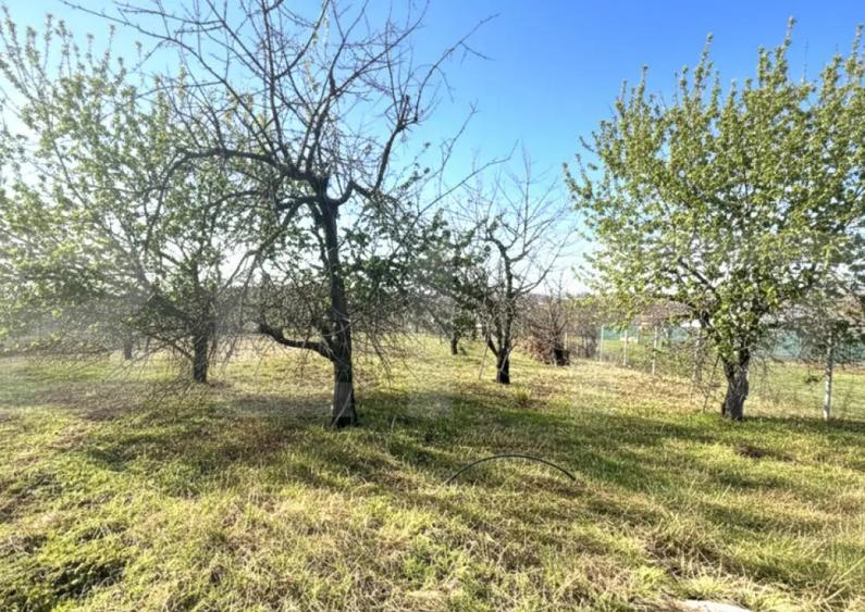 Teren cu dubla-deschidere, Paleu, 1000mp - 1