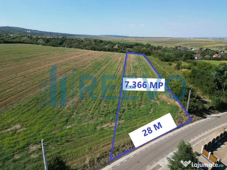 Teren de vanzare, Com. Sarata, Jud. Bacau - 10