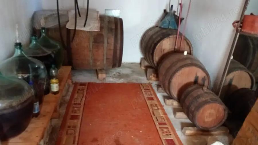 !!! Casa de vanzare(2 imobile)+solar+gradina - 9