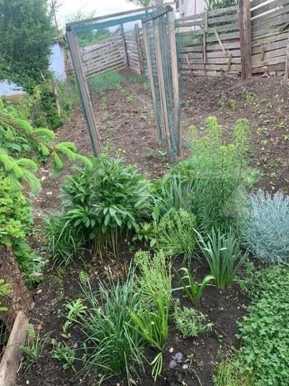 Casa individuala, cu 3 camere in zona Turda Noua - 13