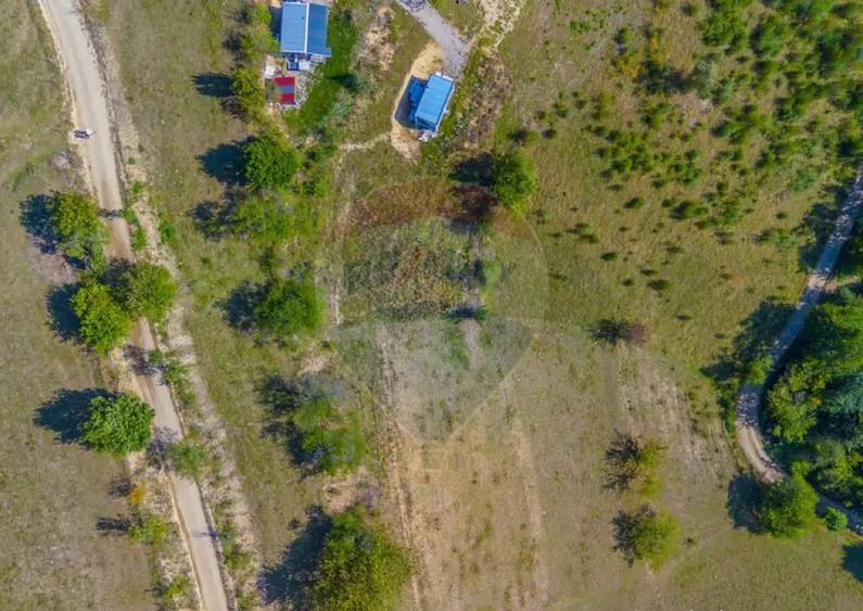 Teren extravilan 6,014mp | Holbav | BRASOV | COMISION 0| - 10