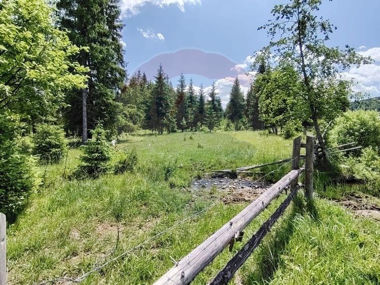 Teren 19,370mp Neagra Sarului / Strada Sestina - 5