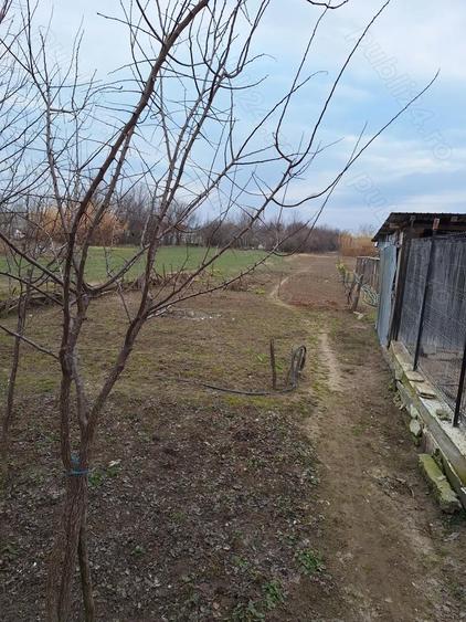 Vand casa in com.Poiana Mare,jud.Dolj - 7