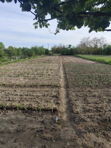 Vand casa cu teren sat Sarbova - 3