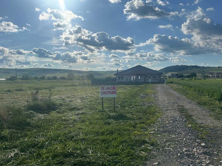 Teren intravilan - 4