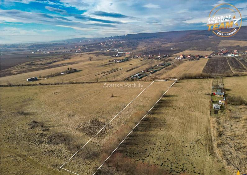 Teren extravilan de 5.800 mp in Sfantu Gheorghe:oportunitate Teren extravilan de 5.800 mp in Sfantu Gheorghe:oportunitate