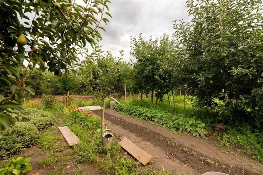 RECO Casa de vanzare zona Horia - 13