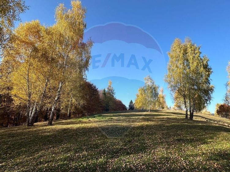 Oportunitate de investiție ! Teren de vis în Pestera - 125.370 mp - 24