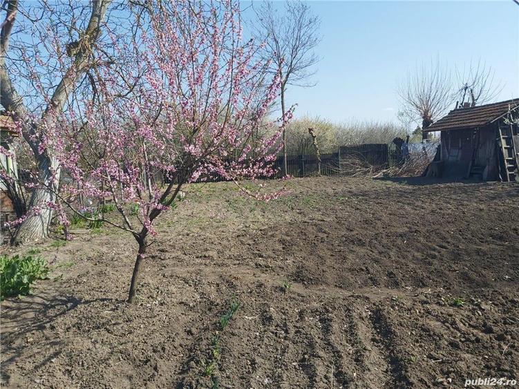 Vand casa ?i curte - 4