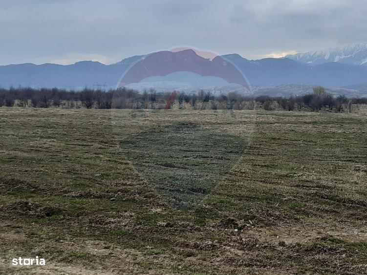 Teren 10,000mp Rasnov / Drumul Panicel - 2