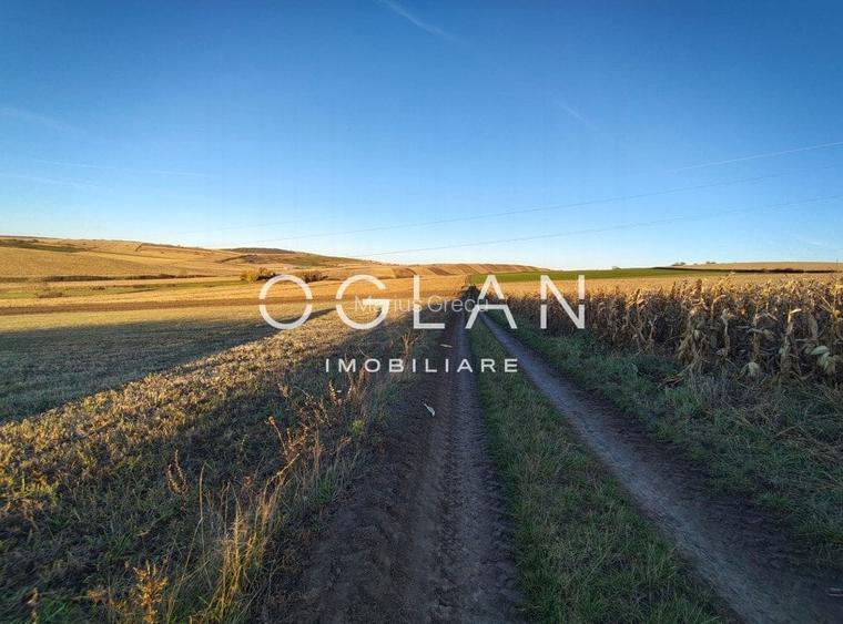 Teren intravilan cu PUZ pentru investitie - 26.100 mp - Sura Mare