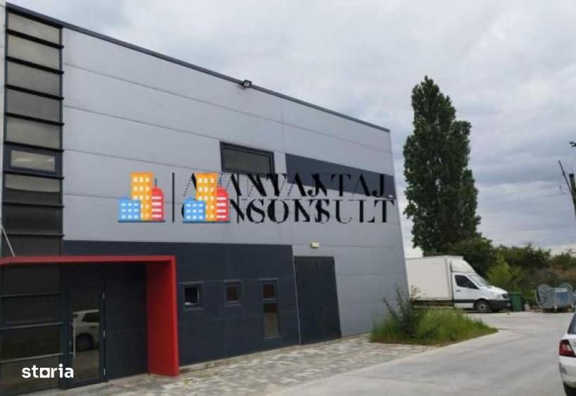 Mogosoaia centura hala cu rafturi si temperatura controlata 600 mp - 4