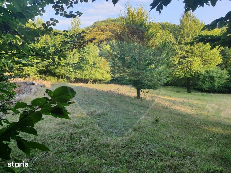 Poiana pentru cabana de vanzare intravilan Coas - 5