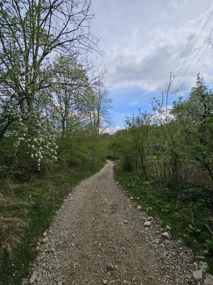 Teren intravilan 1454 mp la marginea padurii zona locuita de case! - 15