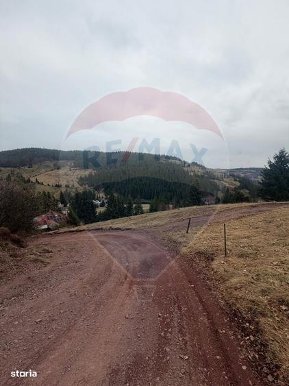 Teren de vanzare in inima Apusenilor 6.500 mp Arieseni - 16