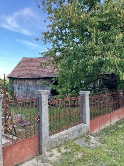 Casa cu gradina si pomi fructiferi - teren 2401 mp - loc. Moldovenesti - 1
