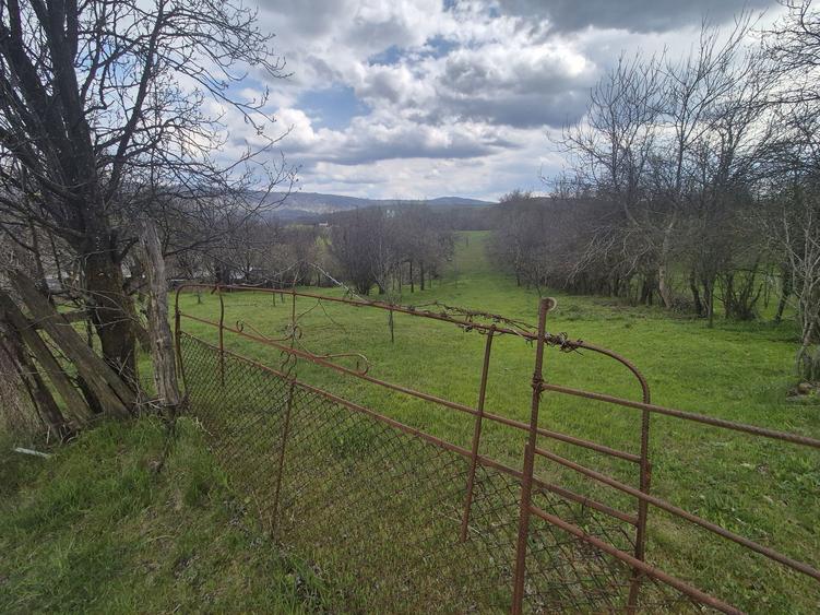 TEREN INTRAVILAN + AUTORIZATIE + LIVADA 4.663 mp Drajna, Faget, Prahova - 3