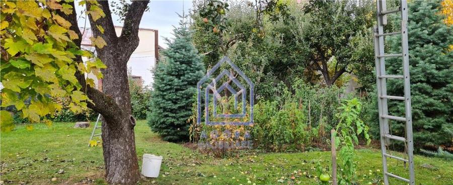 Teren central Suceava - 1