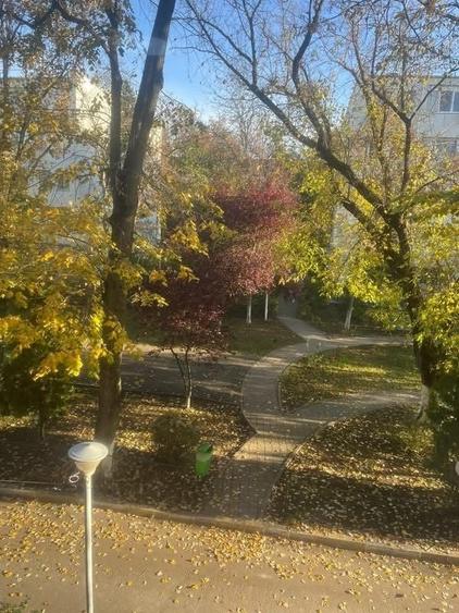 Apartament 2 camere de inchiriat in Buftea Studio - 6
