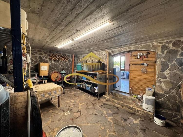 Casa si terasa de vanzare in Magura Bacau - 18