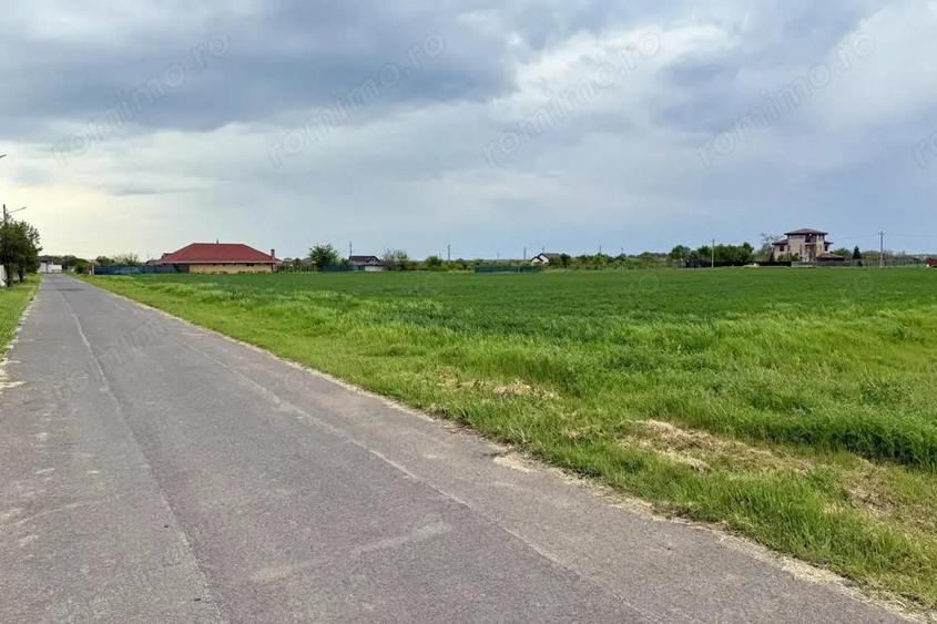 Teren intravilan de 1000 mp in Gradi?tea, Ilfov ideal pentru casa ta - 3