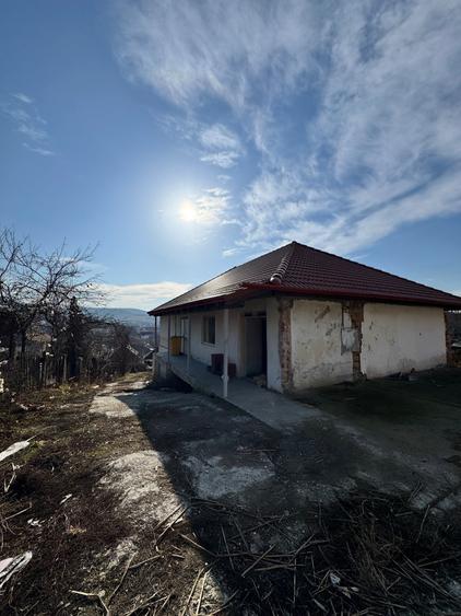 Casa de vanzare-Sg.de Padure - 4