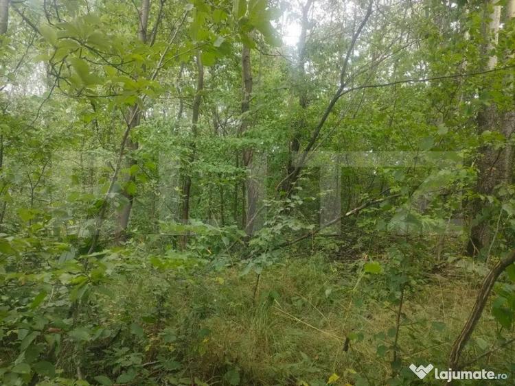 Teren intravilan, 5857 mp, Baltati, Horodnicu de Sus - 2