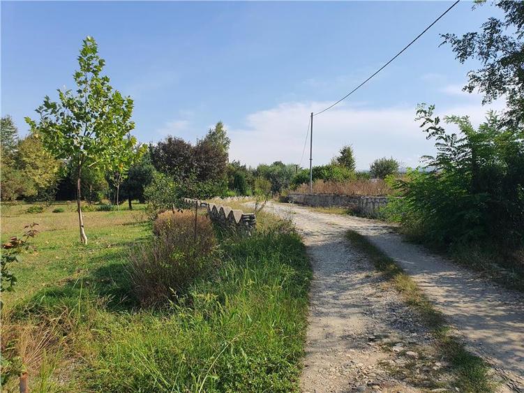 Teren intravilan Sacel -zona lacuri -ultimul lot de 900mp - 23