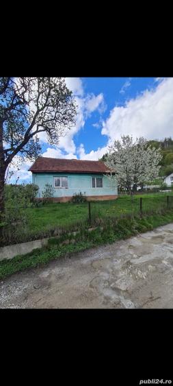 Casu?a la munte, zona superba! - 2