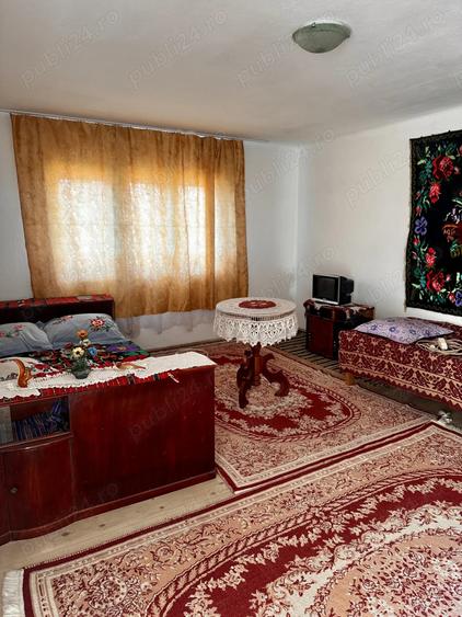 Vand proprietate Comuna Obarsia Closani Mehedinati - 7