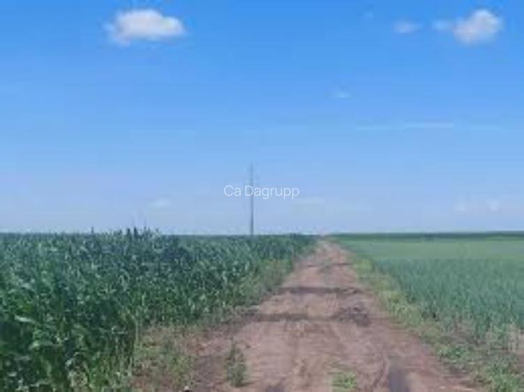 3,6 ha terenuri agricole la Cotofenii din Fata judetul Dolj 3,6 ha terenuri agricole la Cotofenii din Fata judetul Dolj