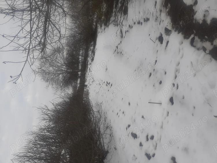 Vand casa in Dombegyhaz - 1