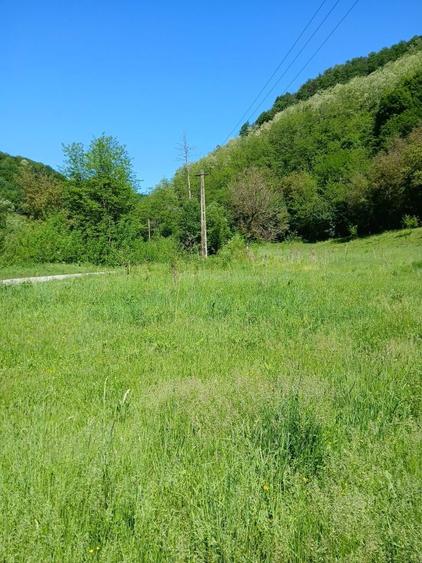 Vand teren in satul Carmazinesti, comuna Gurasada ,judetul Hunedoara - 3
