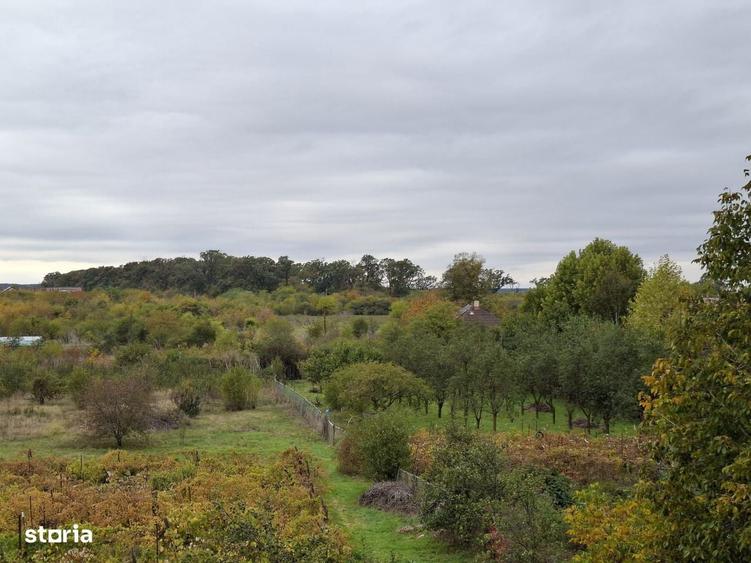 Teren Corbeanca Institutului 1064 mp / 2207 mp la 250 m de mall si DN1 - 1