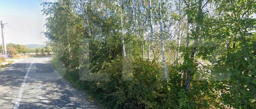 EXCLUSIVITATE! Teren intravilan, constructii, 990 mp, Rasca! - 6