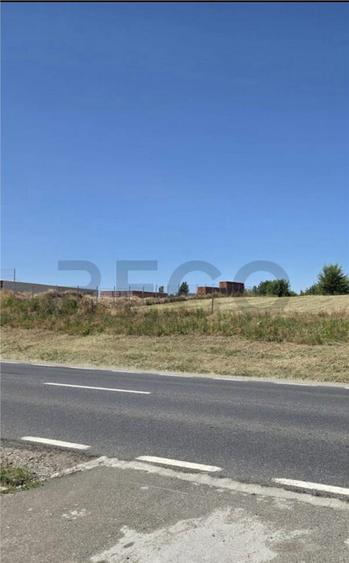 RECO Teren intravilan 900 mp Biharia - 1