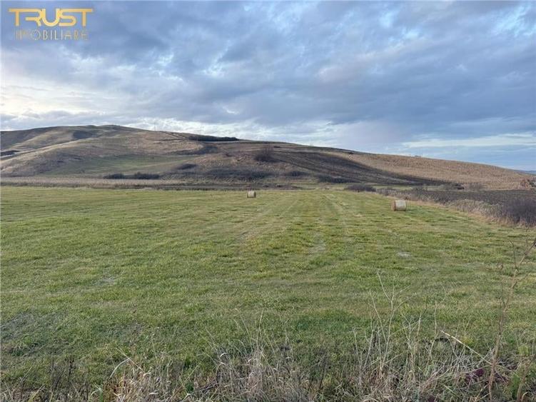 Teren Extravilan I 6000 Mp I Acces la drum | Cojocna - 2