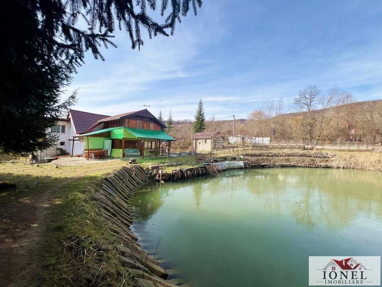 Casa de vacanta cu balta de peste de vanzare in Glogovet (Valea Lunga) - Blaj - 3