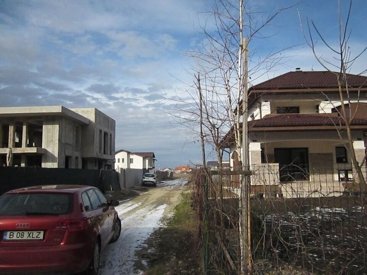 Domnesti-Teghes-Padure - 4